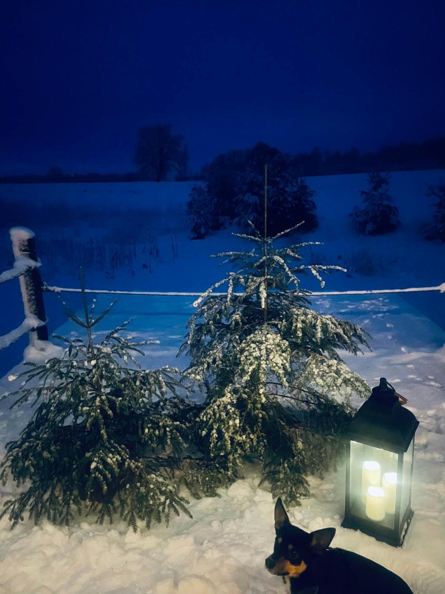 Vecvanagi Jaunmuiza Zewnętrze zdjęcie